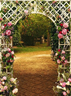 Фотообои Арка плетенка 200х270 см из коллекции Divino Decor