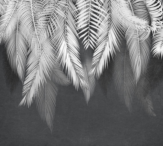 Фотообои T-300 Листья на темном фоне 300х270