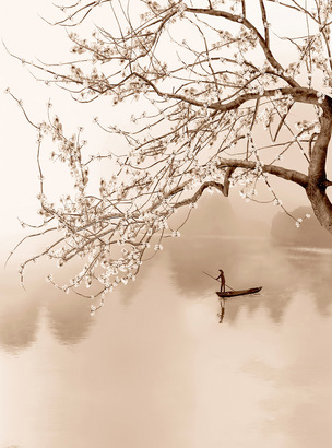 Фотообои H-094 Сакура над рекой 2 200х270