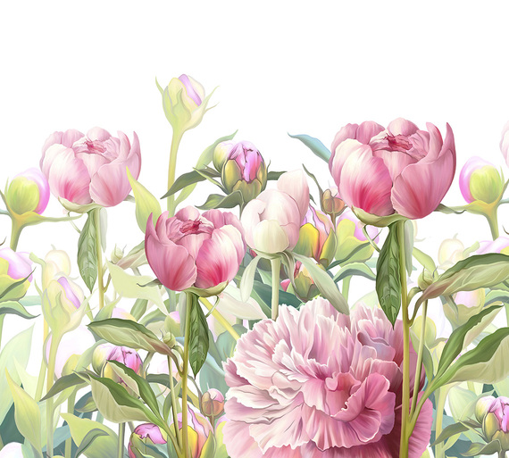 Фотообои Z-347 Розовые пионы рисунок 300х270