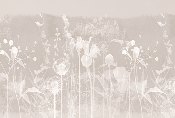 Фотообои F-497 Одуванчики в цветах 2 400х270