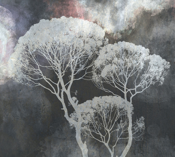 Фотообои F-382 Дерево на темном фоне 300х270