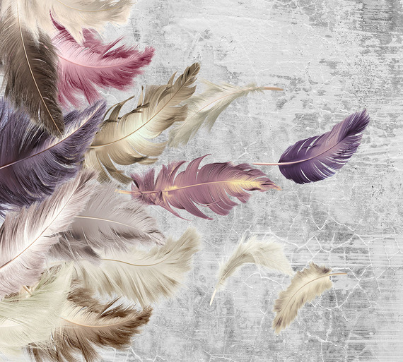 Фотообои Z-340 Перья на фоне стены 300х270