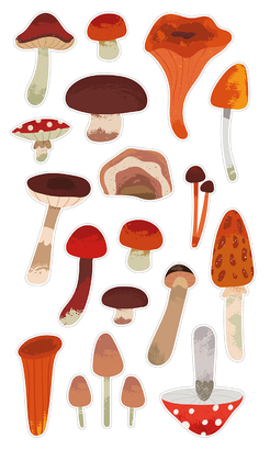 НАКЛЕЙКИ ДЕКОРАТИВНЫЕ ВИНИЛОВЫЕ Divino Sticky/30*50Грибочки 30х50 см