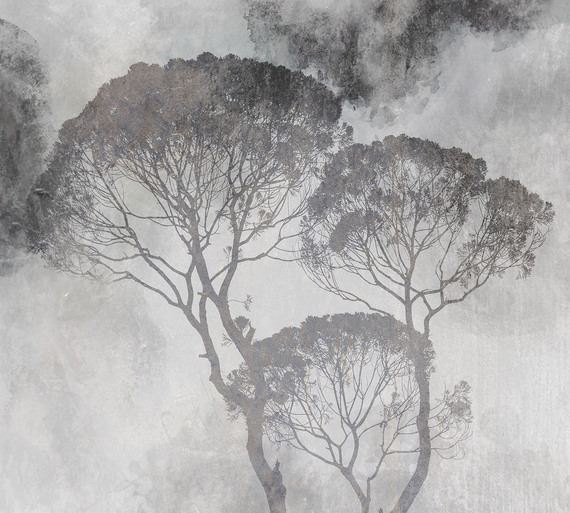 Фотообои F-380 Дерево на сером фоне 300х270