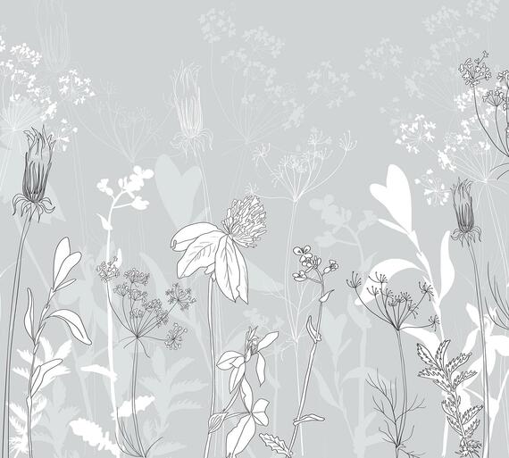 Фотообои F-121 Высокая трава 300х270