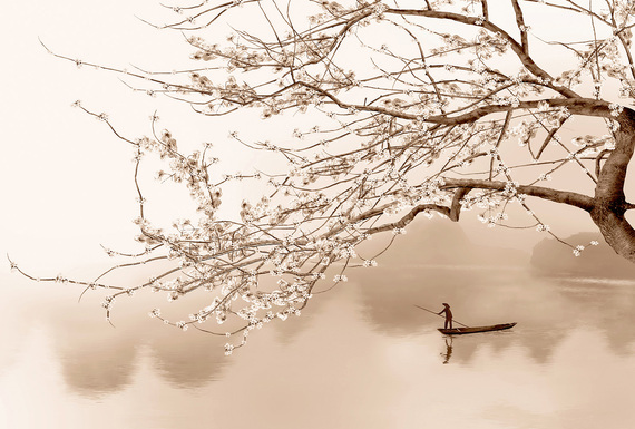 Фотообои H-095 Сакура над рекой 3 400х270