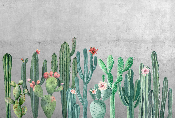 Фотообои Z-372 Кактусы на бетонной стене 400х270