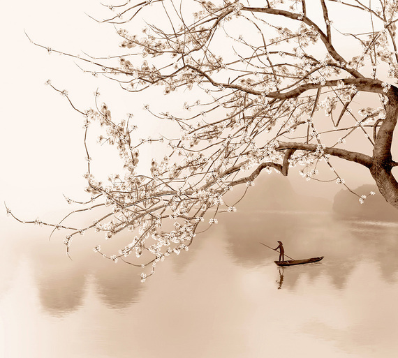 Фотообои H-030 Сакура над рекой 300х270