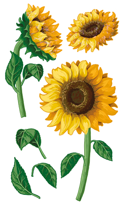 НАКЛЕЙКИ ДЕКОРАТИВНЫЕ ВИНИЛОВЫЕ Divino Sticky/30*50Подсолнухи 30х50 см