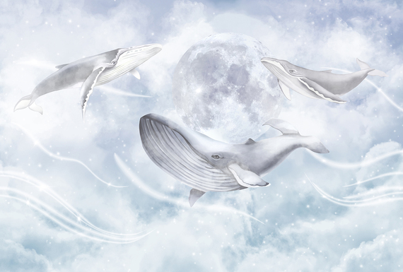 Фотообои F-270 Три кита у луны 400х270