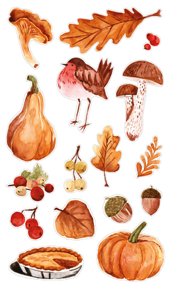 НАКЛЕЙКИ ДЕКОРАТИВНЫЕ ВИНИЛОВЫЕ Divino Sticky/30*50Тыква 30х50 см