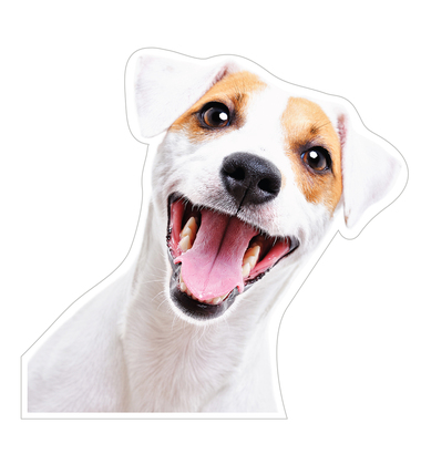 НАКЛЕЙКИ ДЕКОРАТИВНЫЕ ВИНИЛОВЫЕ Divino Sticky/25*27 Пес 25*27 см