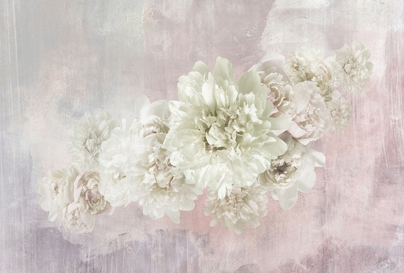 Фотообои Z-341 Пионы на бетонной стене 400х270