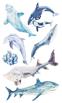 НАКЛЕЙКИ ДЕКОРАТИВНЫЕ ВИНИЛОВЫЕ Divino Sticky/30*50Обитатели океана 30х50 см