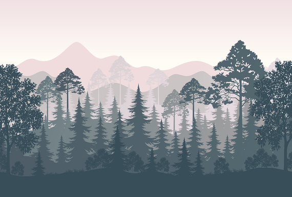 Фотообои F-401 Лес на горных склонах графика 400х270