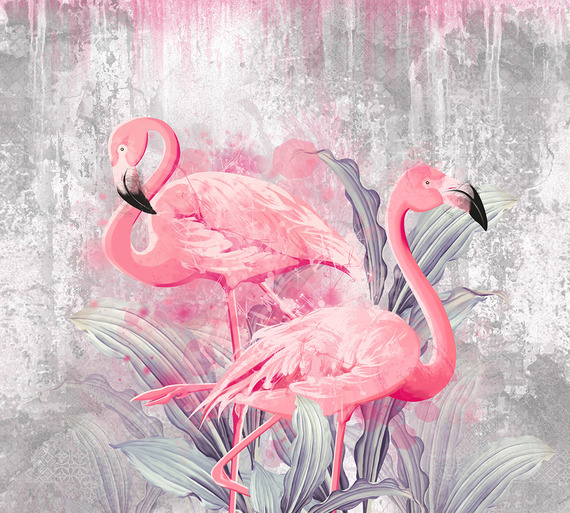 Фотообои Z-312 Фламинго на бетонной стене 300х270
