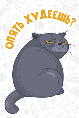 МАГНИТ Divino Style Серый кот 20х30