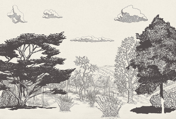 Фотообои Z-027 Винтажные деревья 400х270