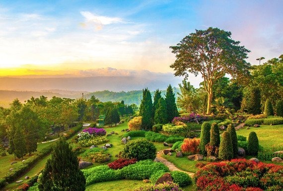 Фотообои Е-074 Утренний парк 400х270