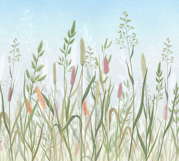 Фотообои Z-030 Луговая трава 300х270