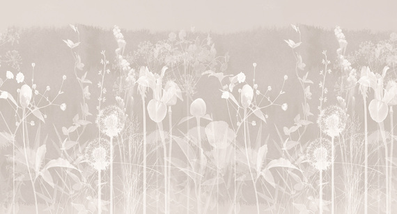 Фотообои F-498 Одуванчики в цветах 3 500х270