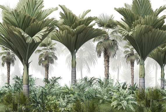 Фотообои F-361 Лес с тропическими деревьями и кустарниками 400х270