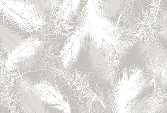 Фотообои F-441 Перья беж 400х270