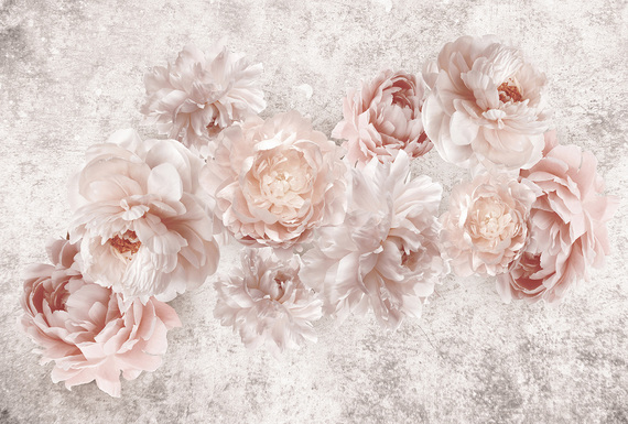 Фотообои Z-383 Нежные пионы 400х270