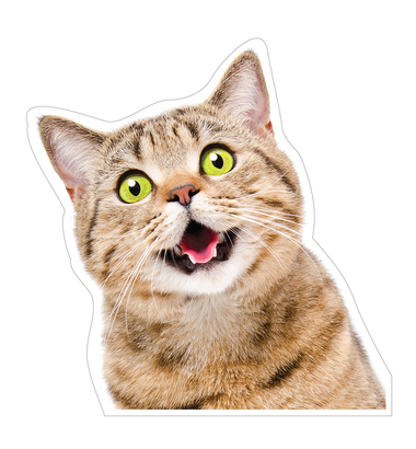НАКЛЕЙКИ ДЕКОРАТИВНЫЕ ВИНИЛОВЫЕ Divino Sticky/25*27 Кот 25*27 см