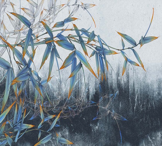 Фотообои Z-313 Бамбук на бетонной стене 300х270