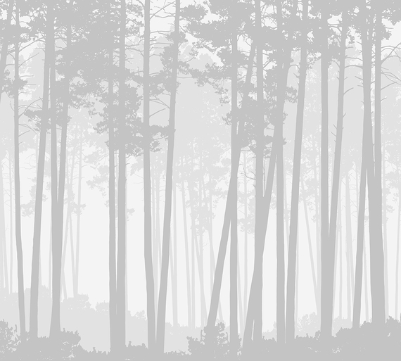 Фотообои Z-120 Лес графика 300х270