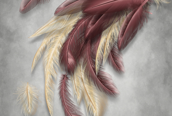 Фотообои F-245 Бордовые перья 400х270