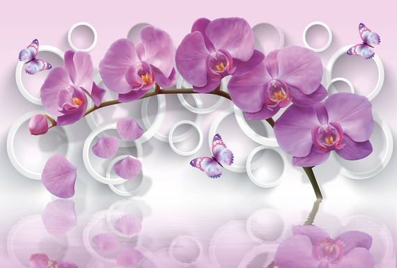Фотообои Орхидея и круги 400х270 из коллекции Divino Decor