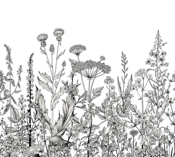 Фотообои F-215 Полевые цветы контур (повторяющиеся) 300х270