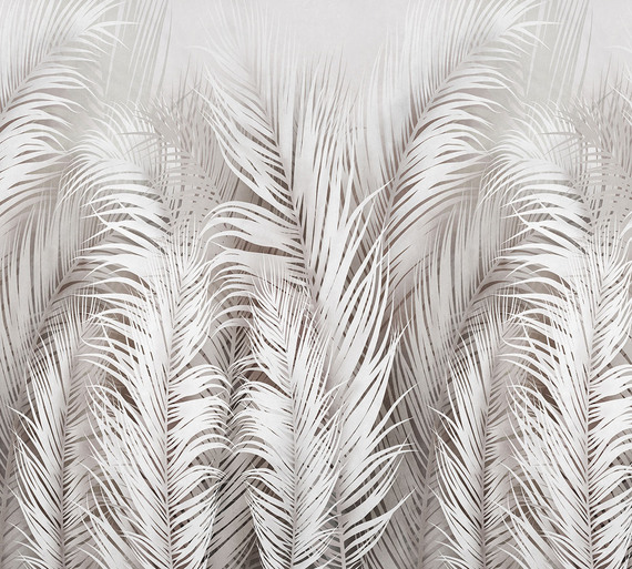 Фотообои F-355 Крупные перья 2 300х270