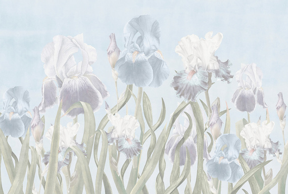 Фотообои F-442 Прекрасные ирисы 400х270