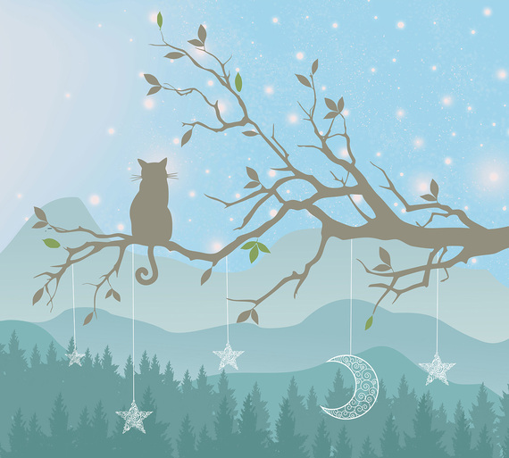 Фотообои F-179 Котик на дереве 300х270