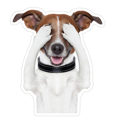 НАКЛЕЙКИ ДЕКОРАТИВНЫЕ ВИНИЛОВЫЕ Divino Sticky/25*27 Собака  2 25*27 см