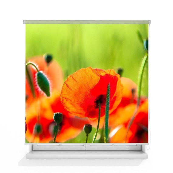Фотообои Летнее кафе 200х270 см из коллекции Divino Decor