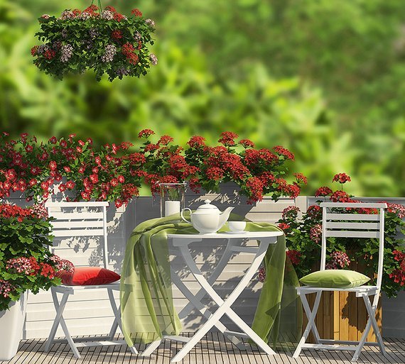 Фотообои Чаепитие 300х270 см из коллекции Divino Decor