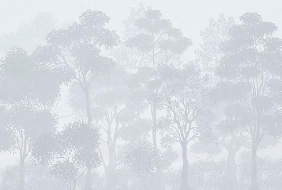 Фотообои F-071 Пепельно-голубой лес 400х270