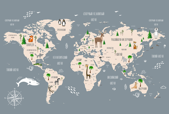 Фотообои F-090 Карта континентов и стран 400х270