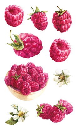 НАКЛЕЙКИ ДЕКОРАТИВНЫЕ ВИНИЛОВЫЕ Divino Sticky/30*50Малина 30х50 см