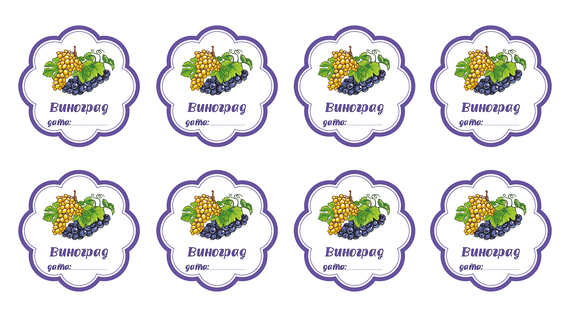 НАКЛЕЙКИ ДЕКОРАТИВНЫЕ ВИНИЛОВЫЕ Divino Sticky/27*15Виноград 27х15 см