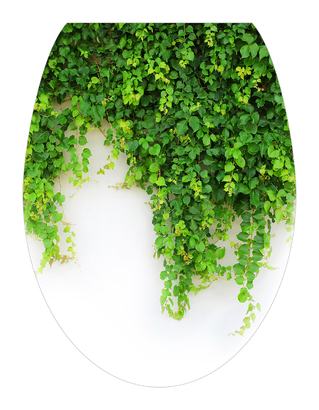 НАКЛЕЙКИ ДЕКОРАТИВНЫЕ ВИНИЛОВЫЕ Divino Sticky/35*45 Ветви 35х45 см