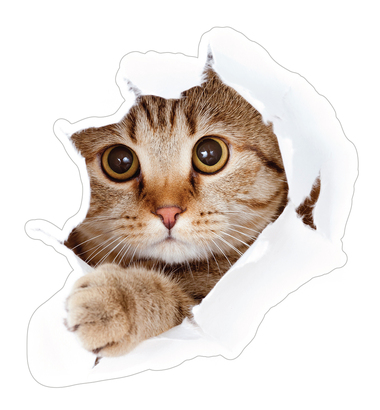 НАКЛЕЙКИ ДЕКОРАТИВНЫЕ ВИНИЛОВЫЕ Divino Sticky/25*27 Удивление  2 25х27 см