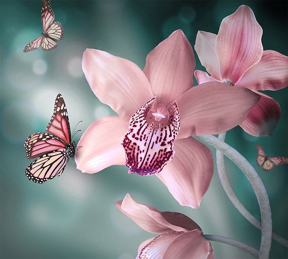 Фотообои Бабочки 300х270 см из коллекции Divino Decor