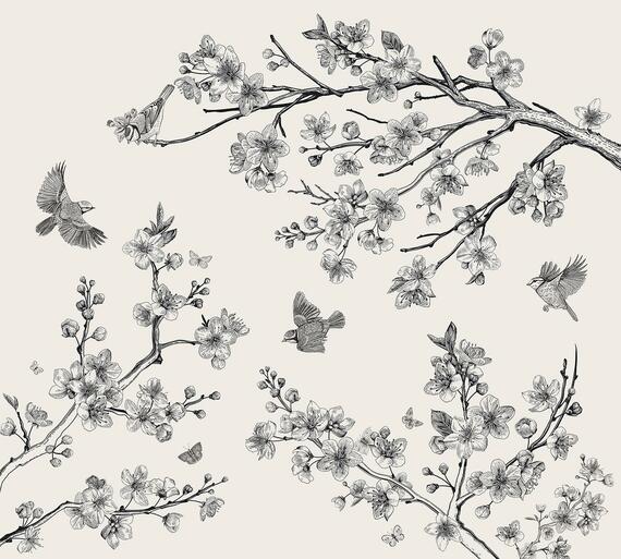 Фотообои F-351 Сакура с птицами 300х270