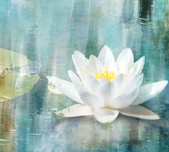 Фотообои E-017 Лилия 300х270